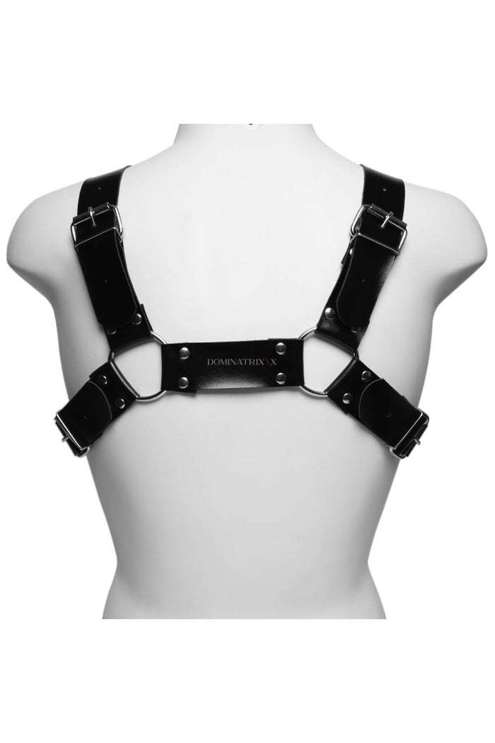 Achilles Men's Harness