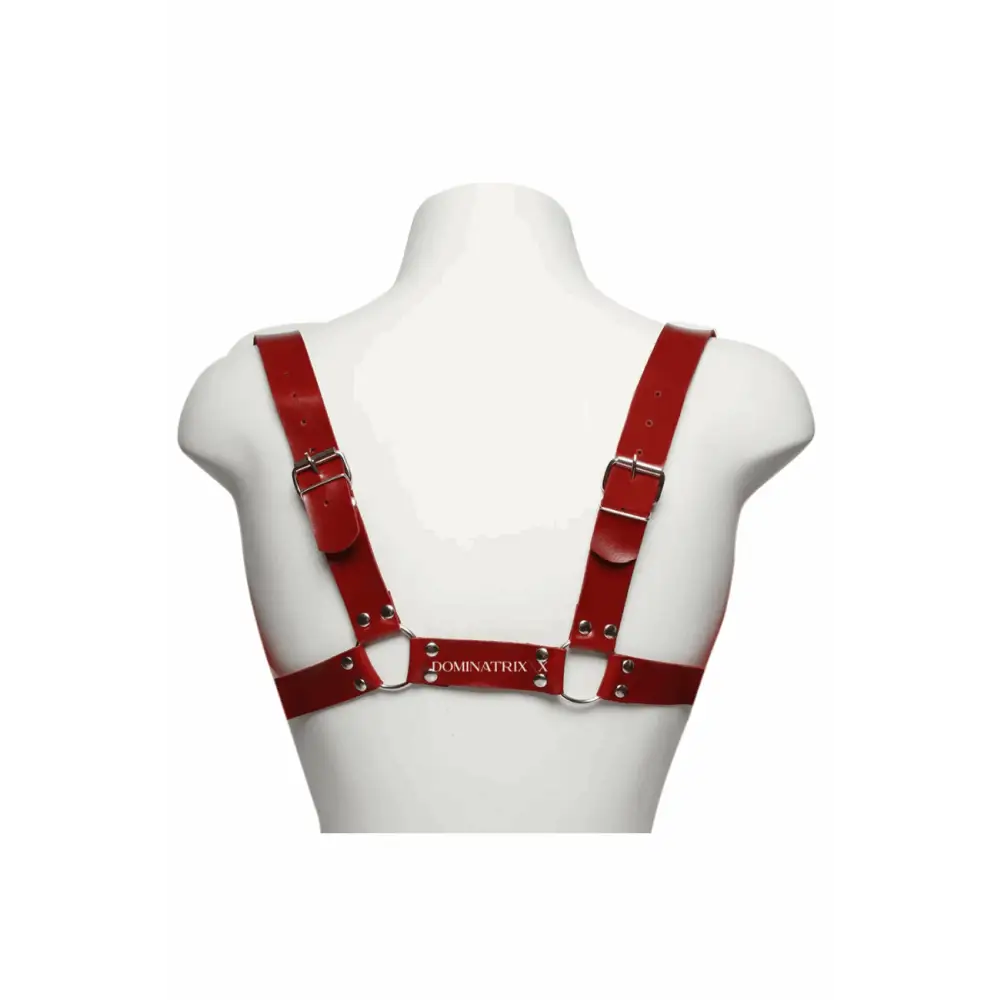 Arreio Masculino Harness Anteros - Dominatrixxx