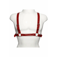 Arreio Masculino Harness Cratos - Dominatrixxx