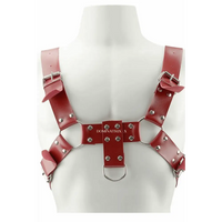 Arreio Masculino Harness Hércules - Dominatrixxx