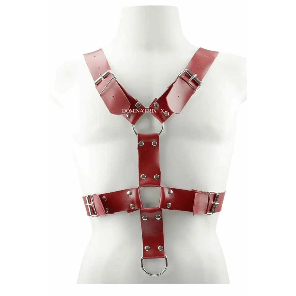 Arreio Masculino Harness Spartacus - Dominatrixxx