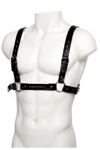 Cratos Men's Harness