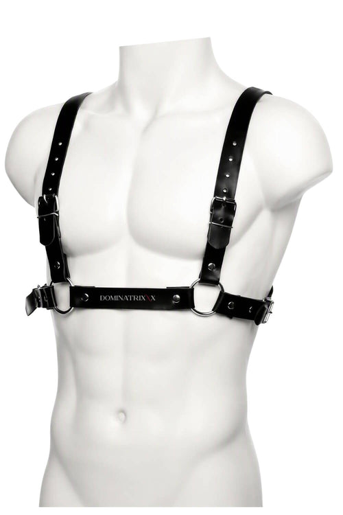 Cratos Men's Harness
